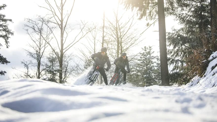 20 nastarenkaat polkupyoraan Nastarengas 20 tuumaa ebikeparts fi